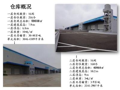 邁科物流 引領(lǐng)海上國(guó)際貨物運(yùn)輸代理的專業(yè)力量